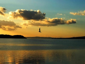 Trasimeno Oggi