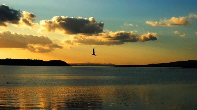 Trasimeno Oggi