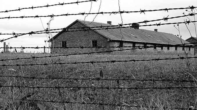 Iniziative a Magione per la Giornata della Memoria