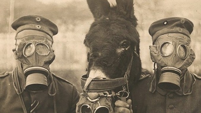 Caporali, Folco Qulici con “Animali nella grande guerra”