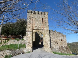 Amici a 4 zampe in festa a Montecolognola
