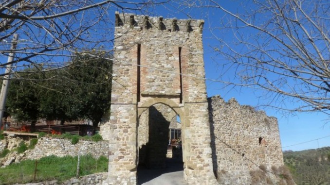 Amici a 4 zampe in festa a Montecolognola