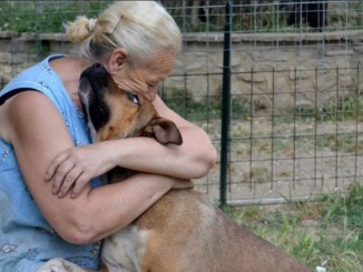Amici a quattro zampe, giornata di solidarietà Montecolognola Magione