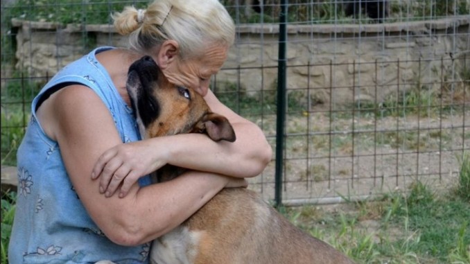 Amici a quattro zampe, giornata di solidarietà Montecolognola Magione
