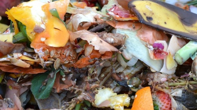 Comitato Lacaioli, NO al compostaggio Comune vi vuole parlare