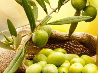 Olio in Festa a La Potassa di Tavernelle di Panicale