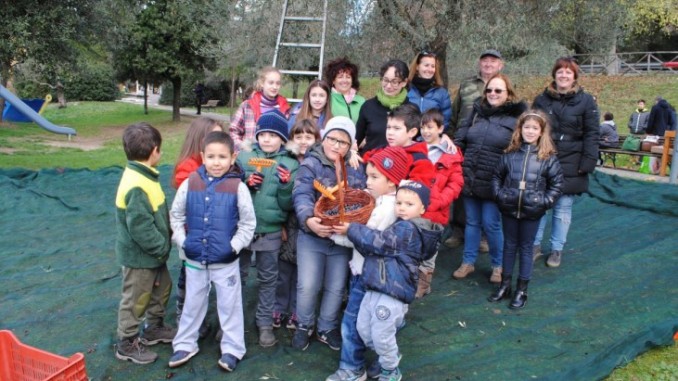 La raccolta delle olive raccontata ai bambini