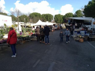 Mercato del Girasole