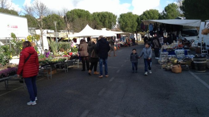 Mercato del Girasole
