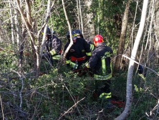 Incidente a Castiglione della Valle, muore 30enne mentre tagliava pianta
