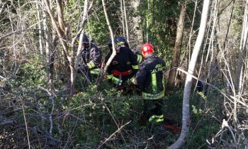 Incidente a Castiglione della Valle, muore 30enne mentre tagliava pianta