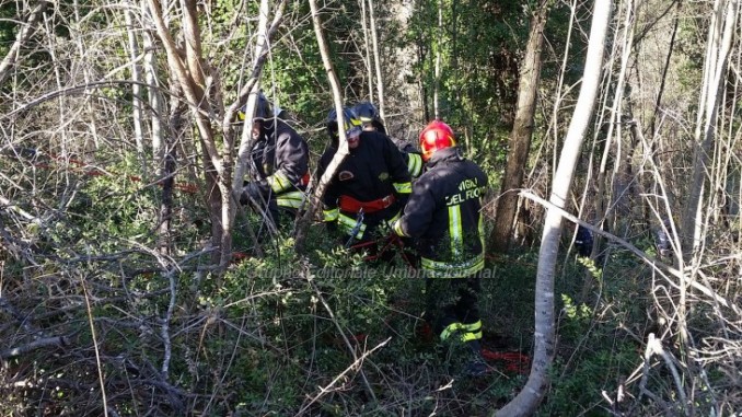 Incidente a Castiglione della Valle, muore 30enne mentre tagliava pianta