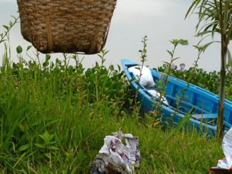 Puliamo il mondo rinviata al 21 maggio raccolta straordinaria rifiuti a Paciano