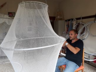Trasimeno, insetti, il contrasto ai chironomidi passa attraverso una rete da pescaTrasimeno, insetti, il