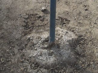 Il parco di Castiglione è degradato, Pucci, ecco le prove