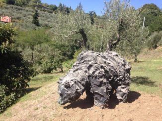 Orso e Lupi di Davide Rivalta liberi tra gli olivi di Panicale