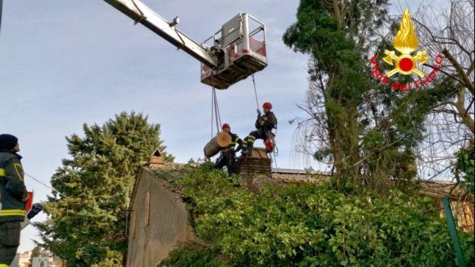 Segato e rimosso albero pericolante, sopra abitazione a Magione