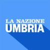 la nazione logo