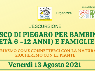 Al Bosco di Piegaro, un’escursione particolare per bambini e famiglie
