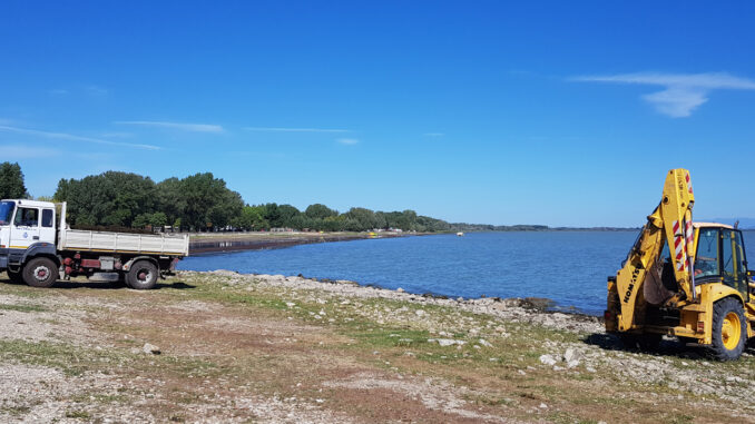 Taglio macrofite del Lago Trasimeno, provvedimenti della Regione Umbria
