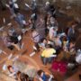 Mostra_Magico_4
