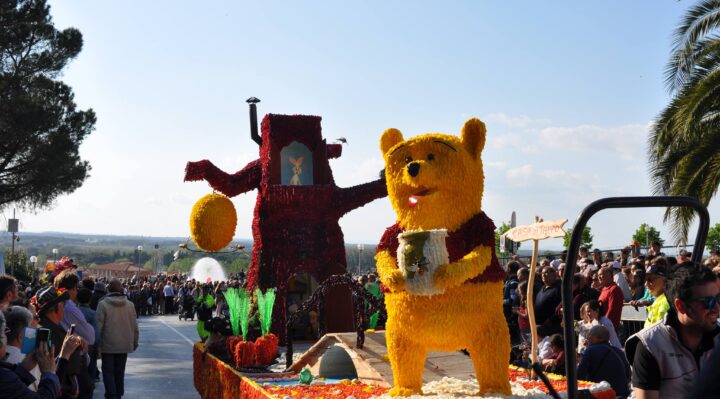 Presentata la nuova Festa del Tulipano a Castiglione del Lago: un ritorno in grande dopo i due anni di stop.