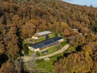 All’ecovillaggio Centro Panta Rei il "Simposio tra Cielo e Terra", dove l’arte plasma il presente a Passignano sul Trasimeno