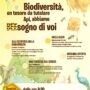 Sole_Pineta_miele