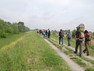 Nuovo direttivo per l'associazione Via Romea Germanica 