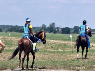 Campionati italiani di endurance 2023 open al parco del Trasimeno