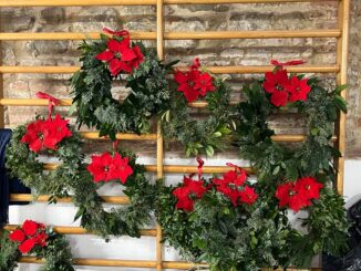 Natale, a Paciano aperto il “laboratorio delle ghirlande”