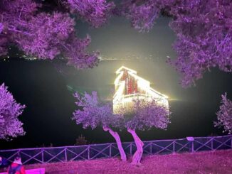 Luci sul Trasimeno e l'Albero sul Lago più grande del mondo
