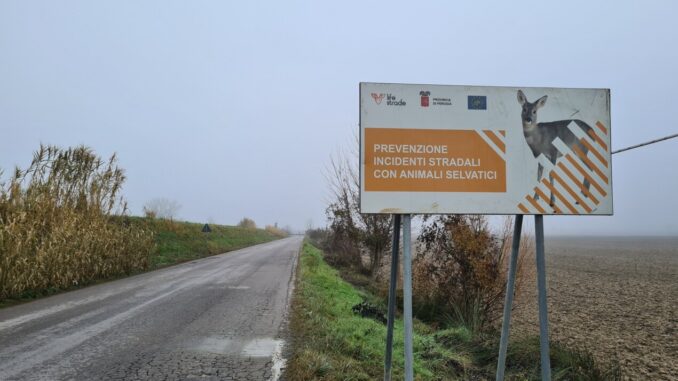 Installazione dissuasore sulla Fondovalle per la fauna selvatica