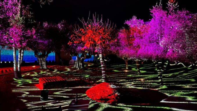 Luci sul Trasimeno: Il Natale si accende alla Rocca di Castiglione