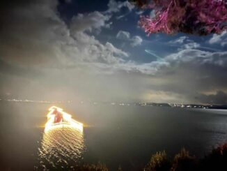 A Luci sul Trasimeno ancora visite speciali per il grande Albero in acqua