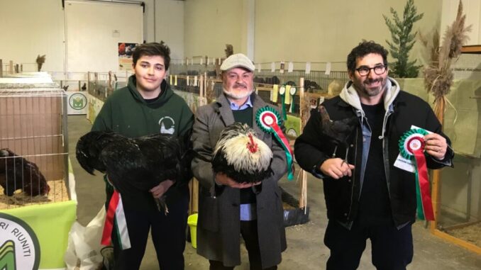 Magione, mostra sociale avicoltura per ammirare 300 rari esemplari