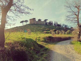 Giornate Fai di primavera. Visita nell’ultimo lembo di Trasimeno