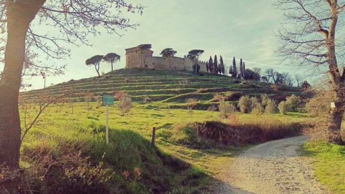 Giornate Fai di primavera. Visita nell’ultimo lembo di Trasimeno