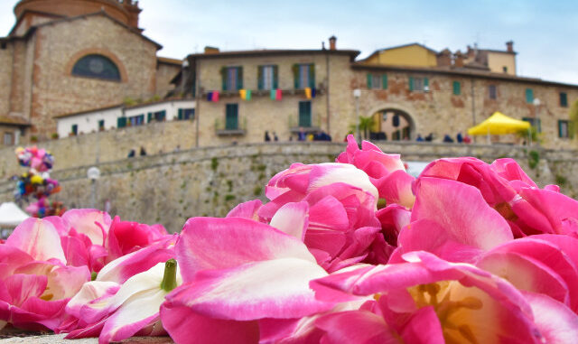 Tutto pronto per la “Festa del Tulipano”