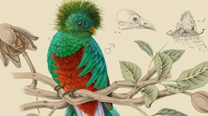 Azzurra Peverini: L'arte di Tuoro Brilla a Madrid
