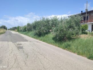 Viabilità. Partono i lavori per la sistemazione dissesto idrogeologico
