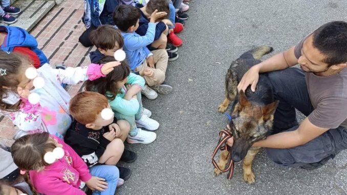 Un anno scolastico speciale alla scuola dell'infanzia "Monumento ai Caduti" Un anno scolastico speciale alla scuola dell'infanzia "Monumento ai Caduti"