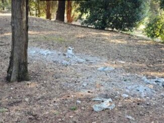 Azione Civica: Basta con le Plastiche Dannose nei Parchi Pubblici