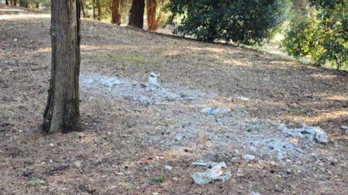 Azione Civica: Basta con le Plastiche Dannose nei Parchi Pubblici