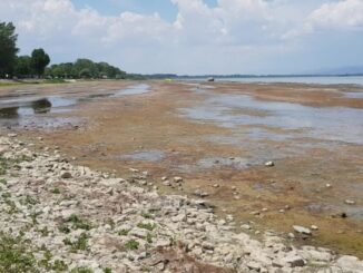Livello del Lago Trasimeno in Calo: Navigazione a Rischio 