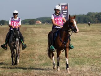 A Castiglione del Lago Zigulí Test Event apre endurance equestre