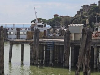 Allarme al Trasimeno: invasioni aliene e siccità a rischio il lago