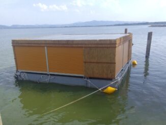 Chironomidi al Trasimeno, disagi lungo il lungolago