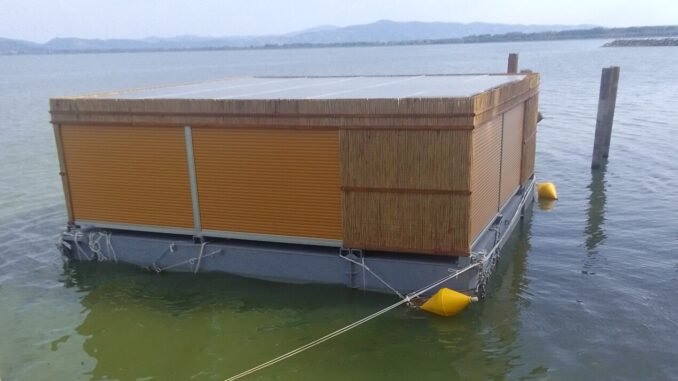 Chironomidi al Trasimeno, disagi lungo il lungolago