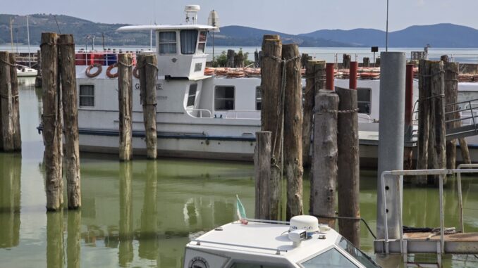 Isola Polvese e Assisi ospitano il Forum sull’Intelligenza Artificiale